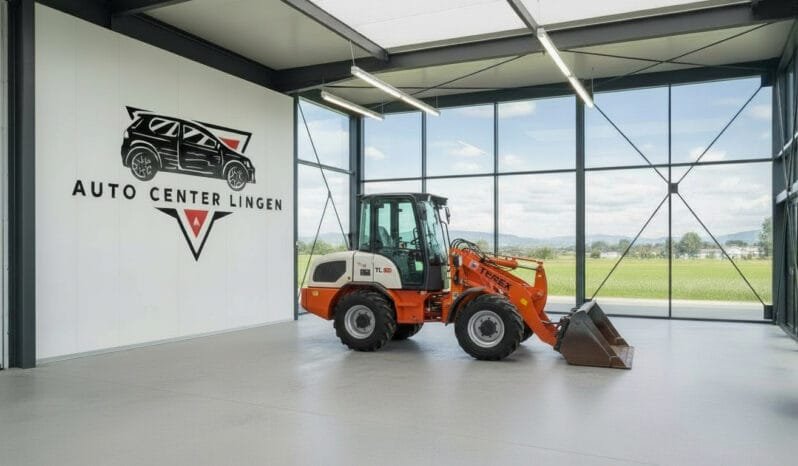 
Terex TL80 full									